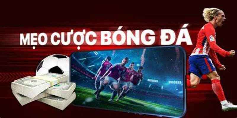 Chiến thuật chơi cá cược thể thao mới nhất