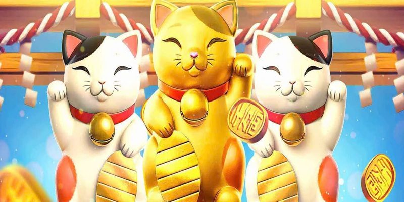 Mọi thứ đều được update