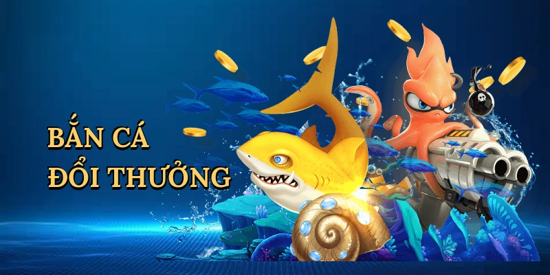 ban-ca-doi-thuong-1