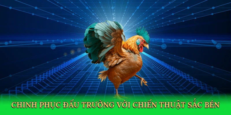 Chinh phục đấu trường với chiến thuật sắc bén