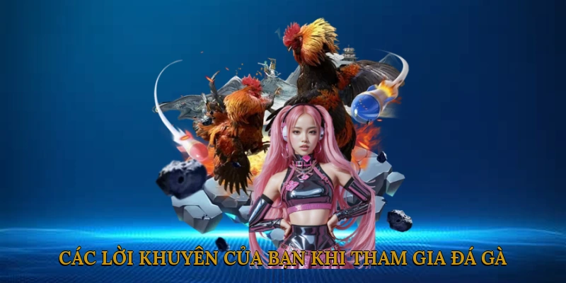 Các lời khuyên của bạn khi tham gia đá gà cựa sắt