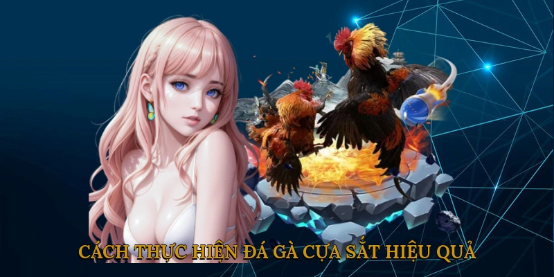 Cách thực hiện đá gà cựa sắt hiệu quả