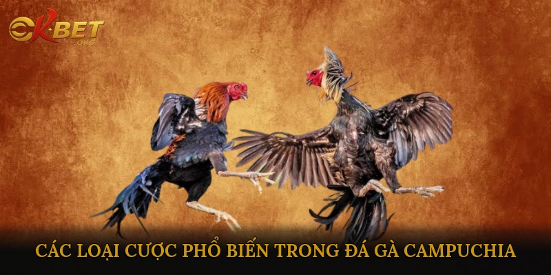Các loại cược phổ biến trong đá gà Campuchia