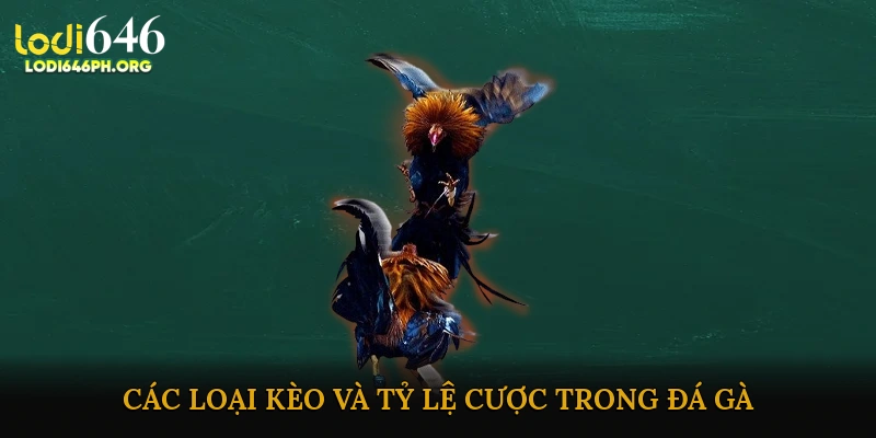 Các loại kèo và tỷ lệ cược trong đá gà