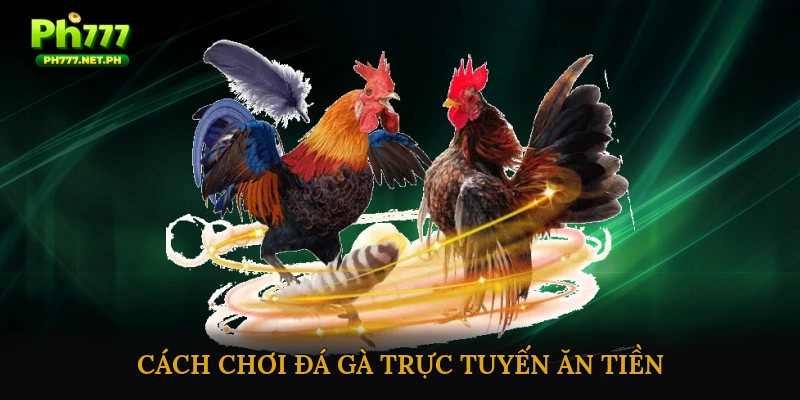 Cách Chơi Đá Gà Trực Tuyến Ăn Tiền