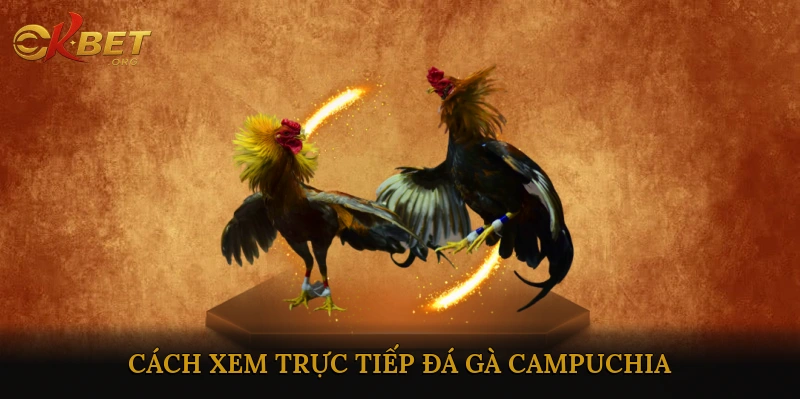 Lịch trình và cách xem trực tiếp đá gà Campuchia