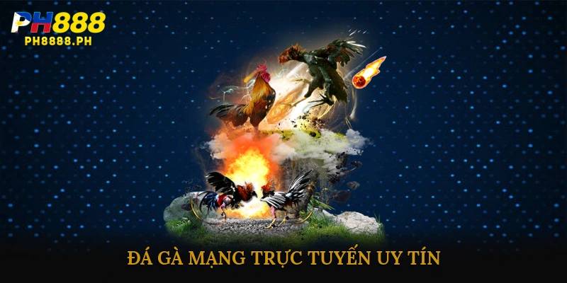đá gà mạng trực tuyến uy tín