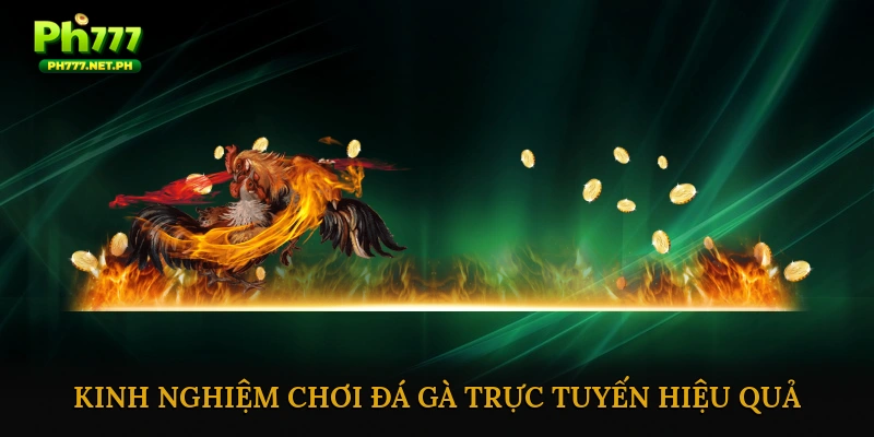 Mẹo & Kinh Nghiệm Chơi Đá Gà Trực Tuyến Hiệu Quả