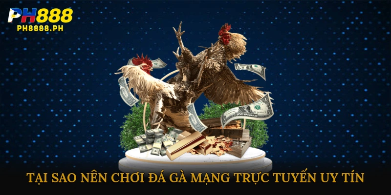 Tại sao nên chơi đá gà mạng trực tuyến uy tín?