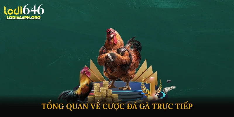 Tổng quan về cược đá gà trực tiếp
