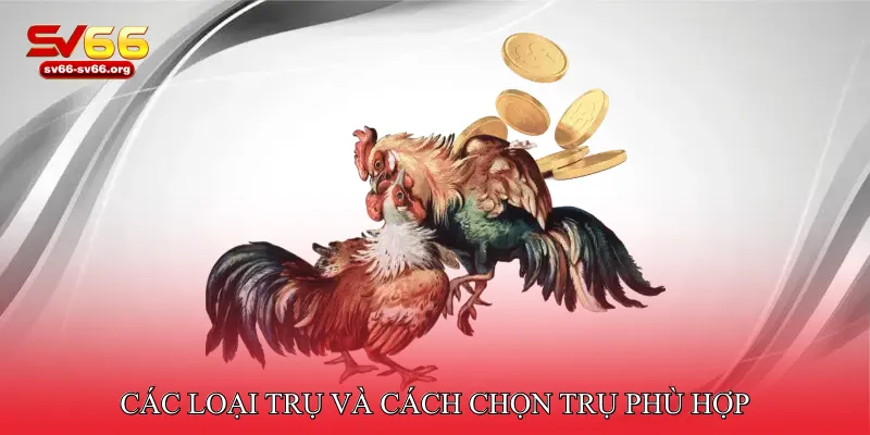 Các loại trụ và cách chọn trụ phù hợp