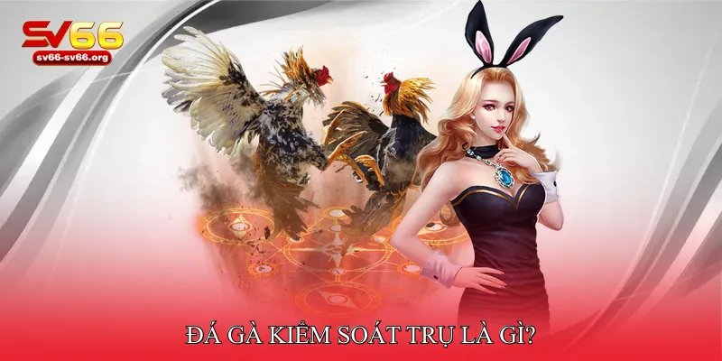 Đá gà kiểm soát trụ là gì?