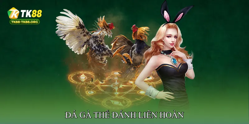 Đá gà thế đánh liên hoàn