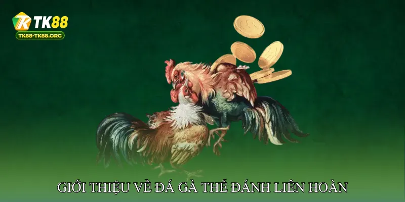 Giới thiệu về đá gà thế đánh liên hoàn