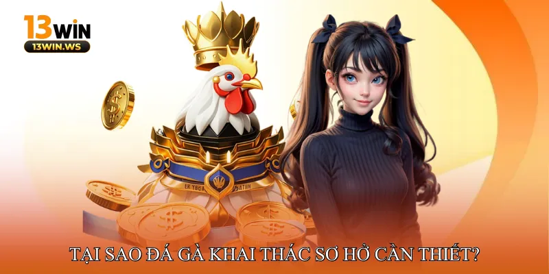 Tại Sao Đá Gà Khai Thác Sơ Hở Cần Thiết?