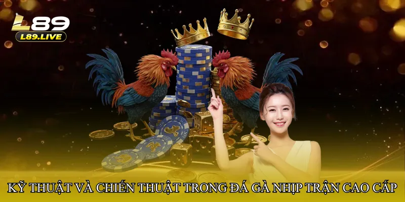 Kỹ thuật và chiến thuật trong đá gà nhịp trận cao cấp