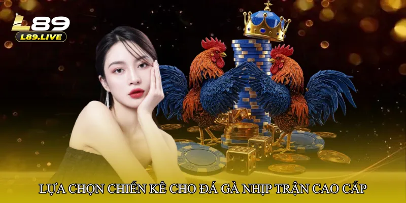 Lựa chọn chiến kê cho đá gà nhịp trận cao cấp